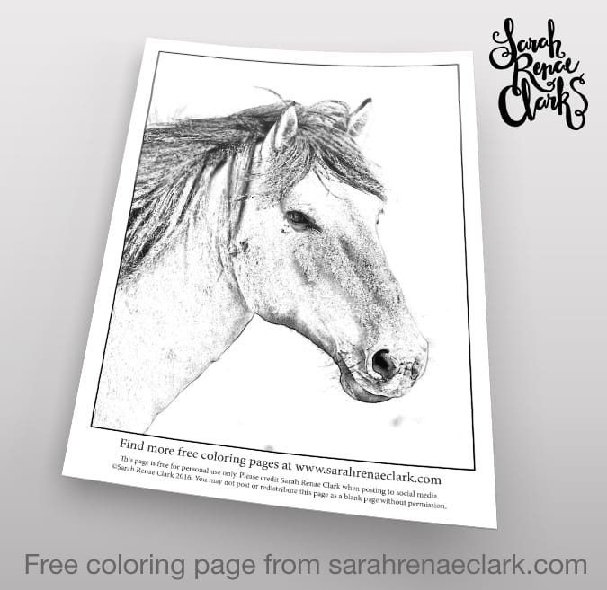 Grayscale Horse Free Adult Coloring Page Sarah Renae Clark Coloring Book Artist And Designer