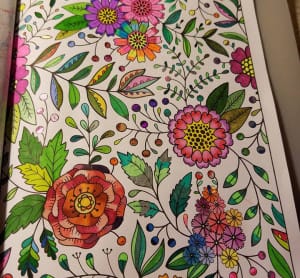 Coloring flowers for adults
