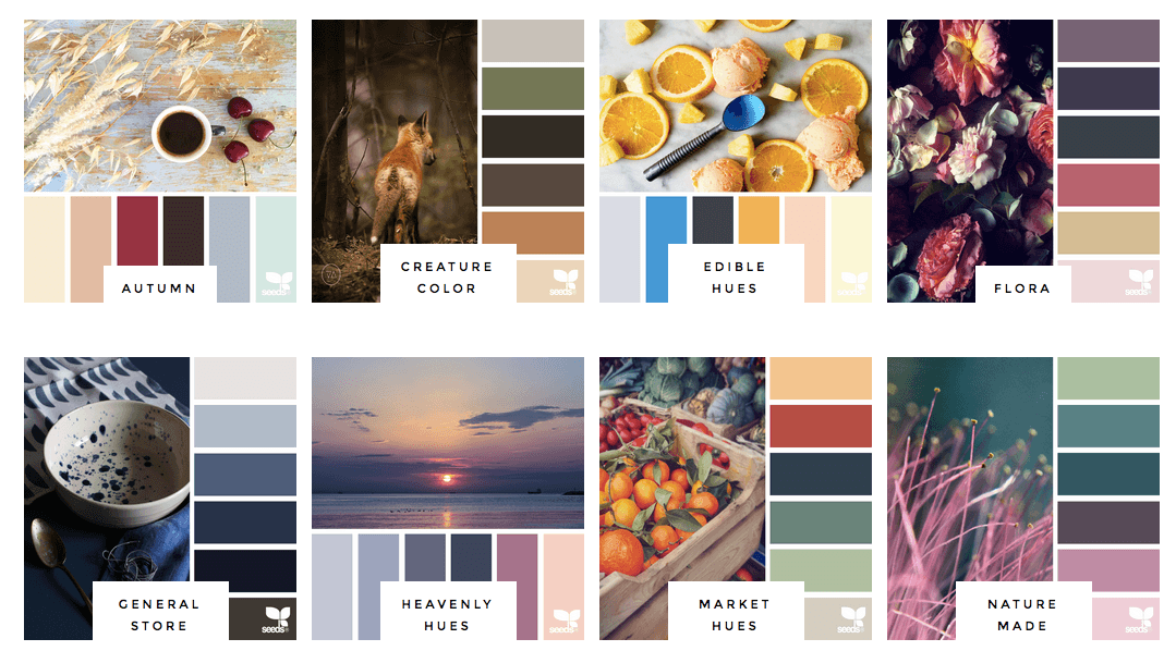 Pictured: Some of the color inspiration categories from www.design-seeds.com