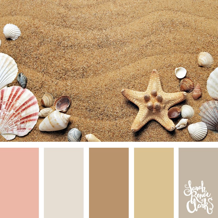 Color Palette 014 - shells and starfish on a background of sand