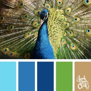 PANTONE® USA  Pantone: 35 Inspirational Color Palettes
