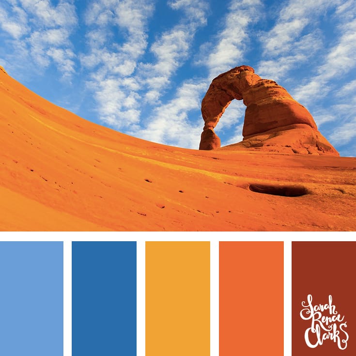 find color palette from picture