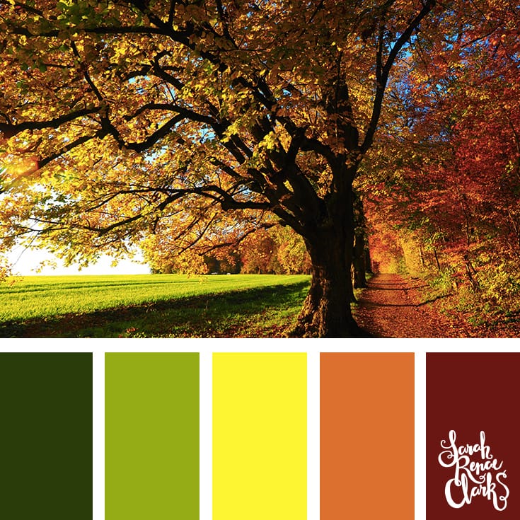 I love the color combination in this Autumn color palette | Click for more color combinations inspired by beautiful landscapes and other coloring inspiration at https://sarahrenaeclark.com | Colour palettes, colour schemes, color therapy, mood board, color hue