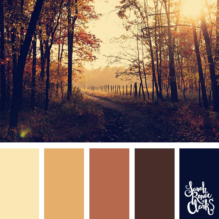 Wanderlust color scheme - I love the warm atmosphere in this beautiful color combination! | Click for more color palettes inspired by beautiful landscapes and other coloring inspiration at https://sarahrenaeclark.com | Colour palettes, colour schemes, color therapy, mood board, color hue