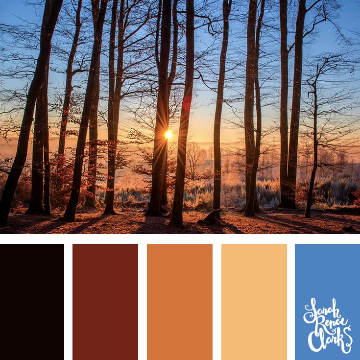 Wanderlust color palette - Get lost in the forest... I love the warm mood of this color scheme | Click for more color combinations inspired by beautiful landscapes and other coloring inspiration at https://sarahrenaeclark.com | Colour palettes, colour schemes, color therapy, mood board, color hue