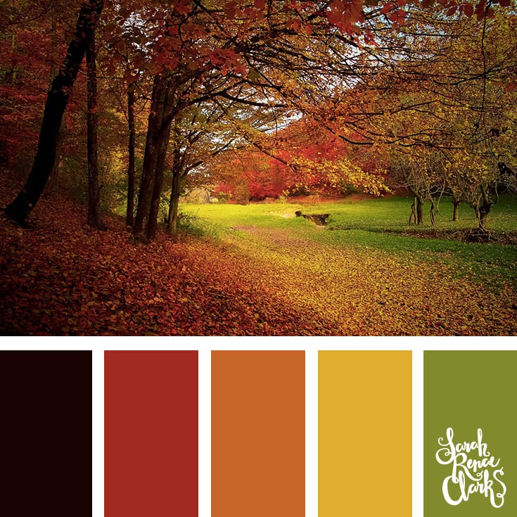 Autumn color palette - green, yellow, orange and red color combination | Click for more color schemes inspired by beautiful landscapes and other coloring inspiration at https://sarahrenaeclark.com | Colour palettes, colour schemes, color therapy, mood board, color hue