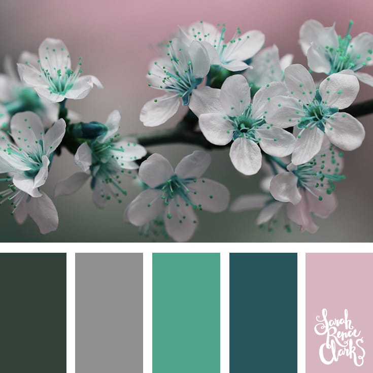 Soft pink, teal and gray color Inspiration | Click for more color combinations and color palettes inspired by the Pantone Fall 2017 Color Trends, plus other coloring inspiration at http://sarahrenaeclark.com | Colour palettes, colour schemes, color therapy, mood board, color hue