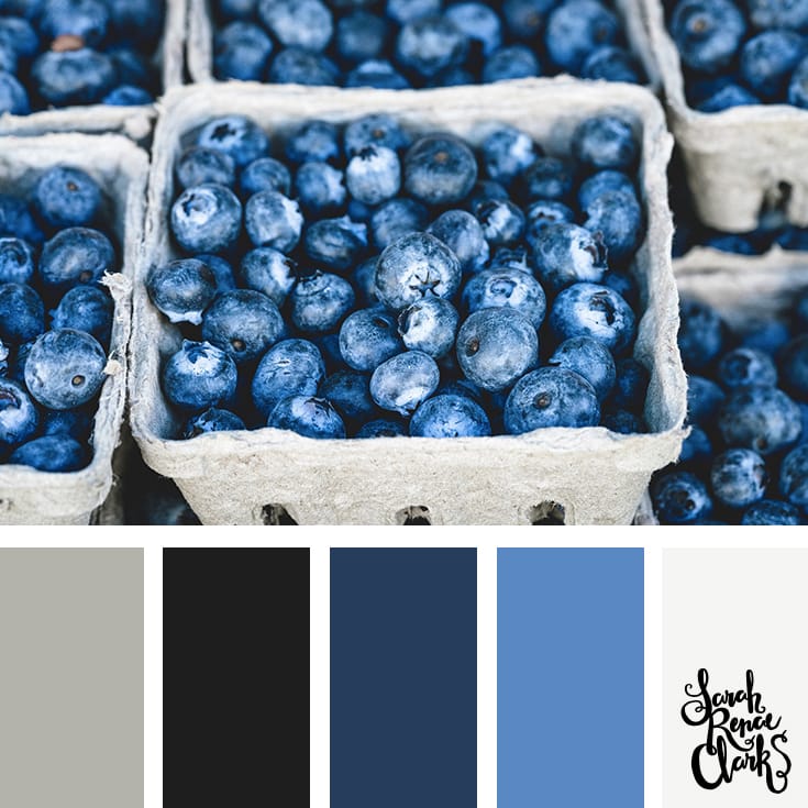 blue and gray color palette | Click for more color combinations and color palettes inspired by the Pantone Fall 2017 Color Trends, plus other coloring inspiration at http://sarahrenaeclark.com | Colour palettes, colour schemes, color therapy, mood board, color hue