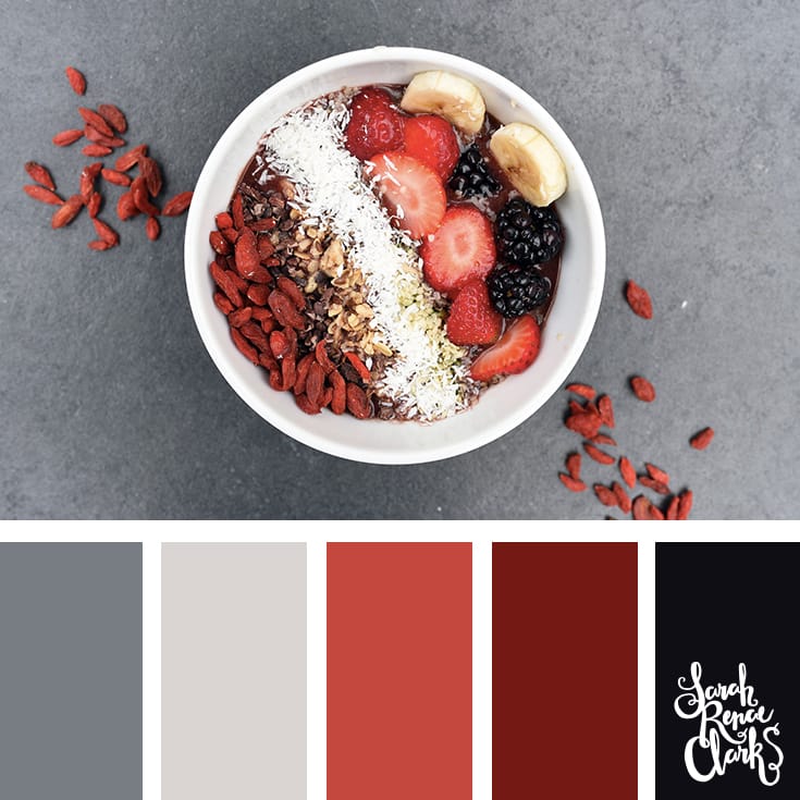 reds and grays - I love this color palette! | Click for more color combinations and color palettes inspired by the Pantone Fall 2017 Color Trends, plus other coloring inspiration at http://sarahrenaeclark.com | Colour palettes, colour schemes, color therapy, mood board, color hue