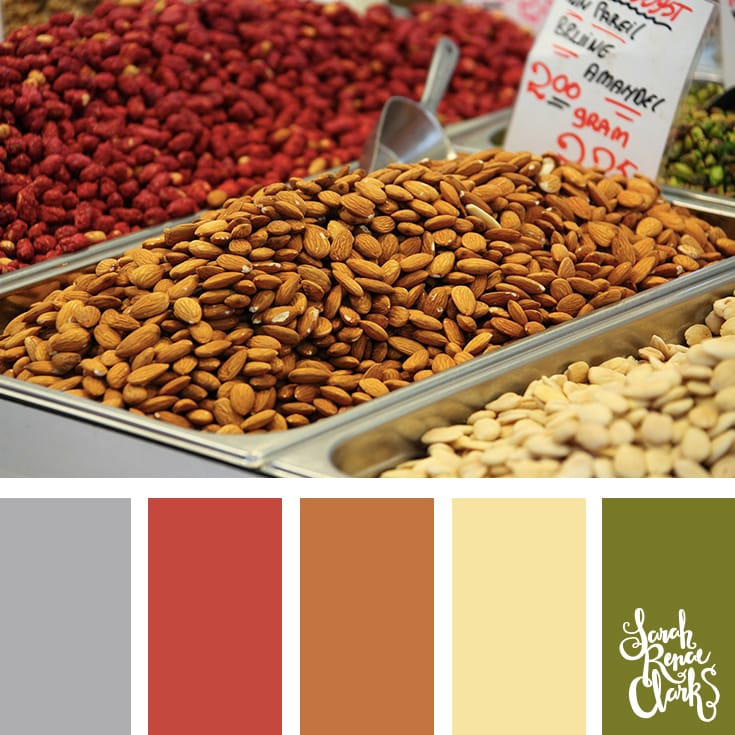 Color Inspiration from nuts | Click for more color combinations and color palettes inspired by the Pantone Fall 2017 Color Trends, plus other coloring inspiration at http://sarahrenaeclark.com | Colour palettes, colour schemes, color therapy, mood board, color hue