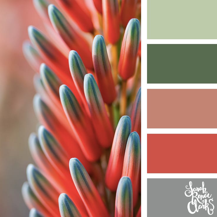 Calming tones | Click for more color combinations and color palettes inspired by the Pantone Fall 2017 Color Trends, plus other coloring inspiration at http://sarahrenaeclark.com | Colour palettes, colour schemes, color therapy, mood board, color hue