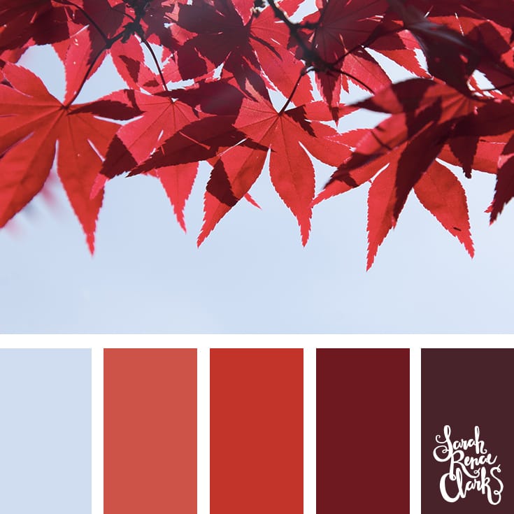 Red autumn leaves - color Inspiration | Click for more color combinations and color palettes inspired by the Pantone Fall 2017 Color Trends, plus other coloring inspiration at http://sarahrenaeclark.com | Colour palettes, colour schemes, color therapy, mood board, color hue