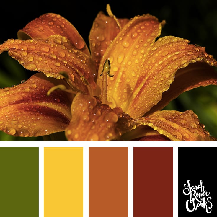 Autumn color Inspiration | Click for more color combinations and color palettes inspired by the Pantone Fall 2017 Color Trends, plus other coloring inspiration at http://sarahrenaeclark.com | Colour palettes, colour schemes, color therapy, mood board, color hue