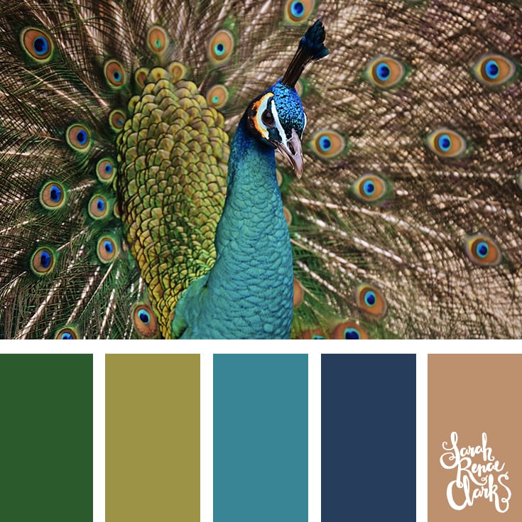 25 Color Palettes Inspired by the Pantone Fall 2017 Color ...