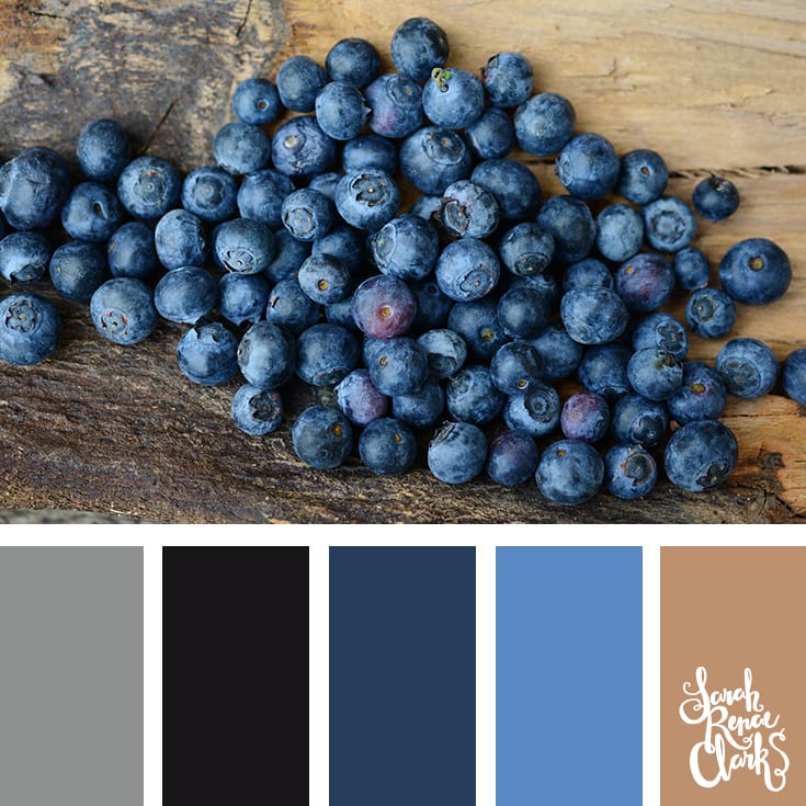 Blueberries color Inspiration | Click for more color combinations and color palettes inspired by the Pantone Fall 2017 Color Trends, plus other coloring inspiration at http://sarahrenaeclark.com | Colour palettes, colour schemes, color therapy, mood board, color hue