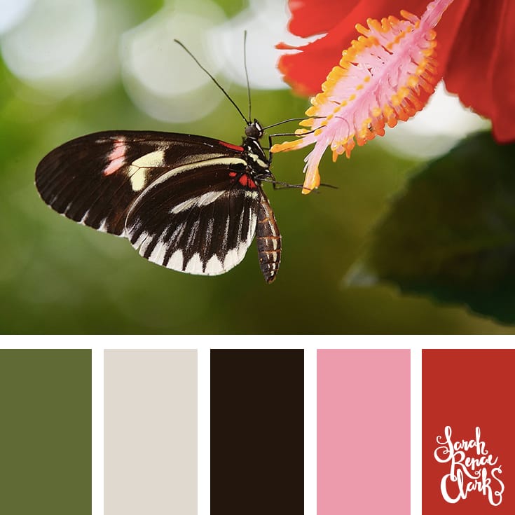 Colors inspired by nature | Click for more color combinations and color palettes inspired by the Pantone Fall 2017 Color Trends, plus other coloring inspiration at http://sarahrenaeclark.com | Colour palettes, colour schemes, color therapy, mood board, color hue