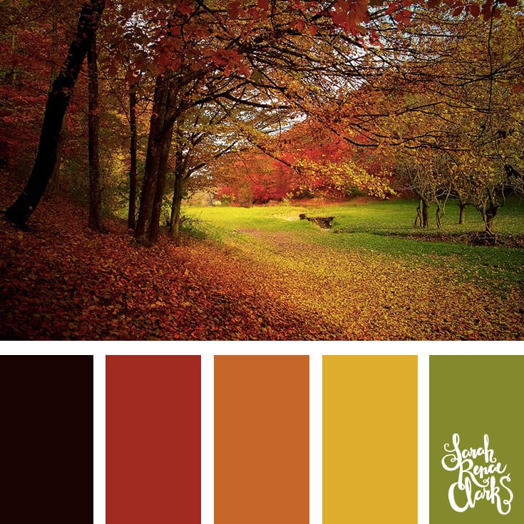 25 Color Palettes Inspired by Autumn