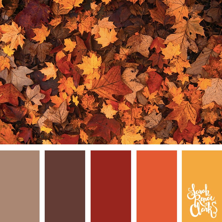 Autumn leaves color scheme | Click for more fall color combinations, mood boards and seasonal color palettes at http://sarahrenaeclark.com