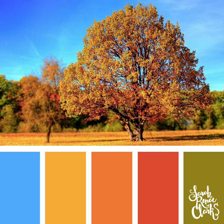 Autumn scenery color inspiration | Click for more fall color combinations, mood boards and seasonal color palettes at http://sarahrenaeclark.com