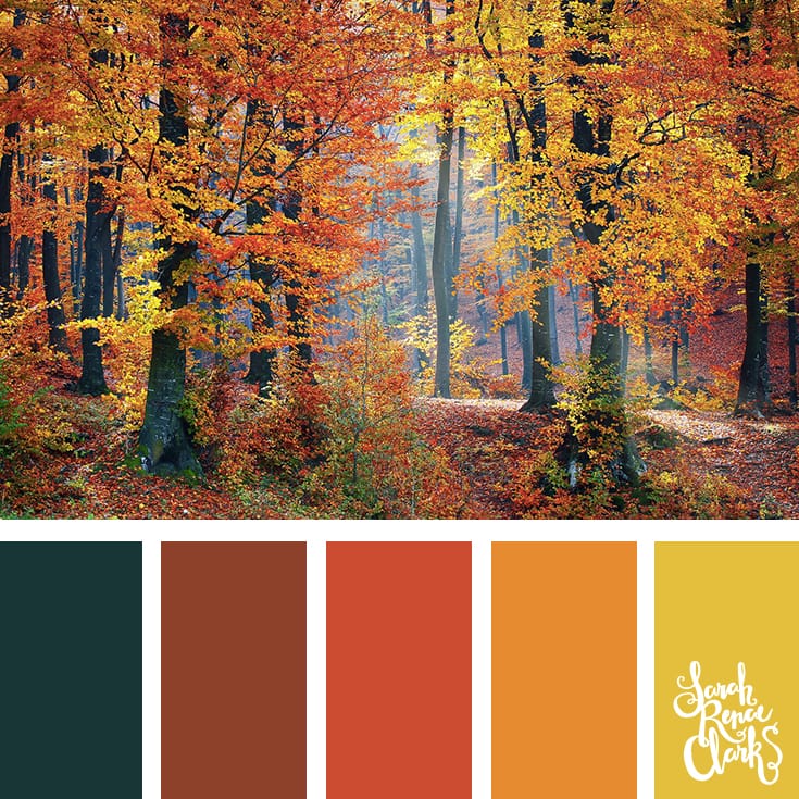 25 Color Palettes Inspired By The Pantone Fall 17 Color Trends Inspiring Color Schemes By Sarah Renae Clark