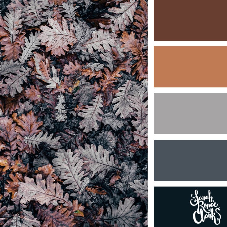 Beautiful Autumn color scheme | Click for more fall color combinations, mood boards and seasonal color palettes at http://sarahrenaeclark.com