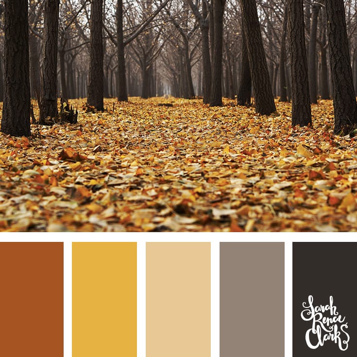 I love Autumn colors! | Click for more fall color combinations, mood boards and seasonal color palettes at http://sarahrenaeclark.com