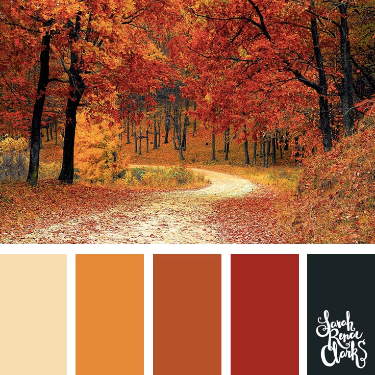 Beautiful Autumn color scheme | Click for more fall color combinations, mood boards and seasonal color palettes at http://sarahrenaeclark.com