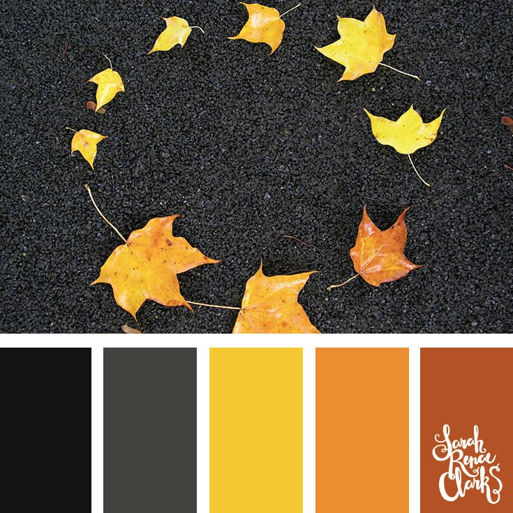 Autumn leaves | Click for more fall color combinations, mood boards and seasonal color palettes at http://sarahrenaeclark.com