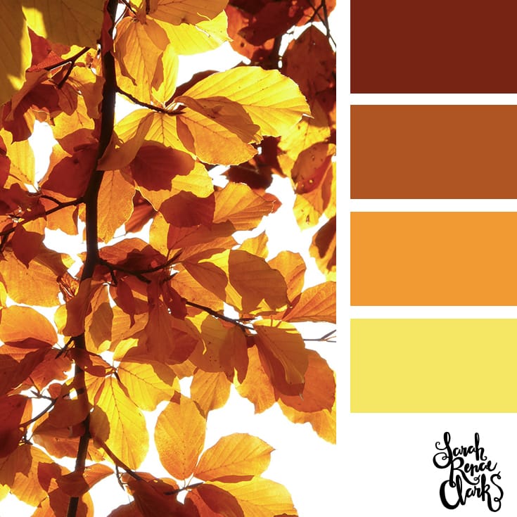 Beautiful Autumn color scheme | Click for more fall color combinations, mood boards and seasonal color palettes at http://sarahrenaeclark.com