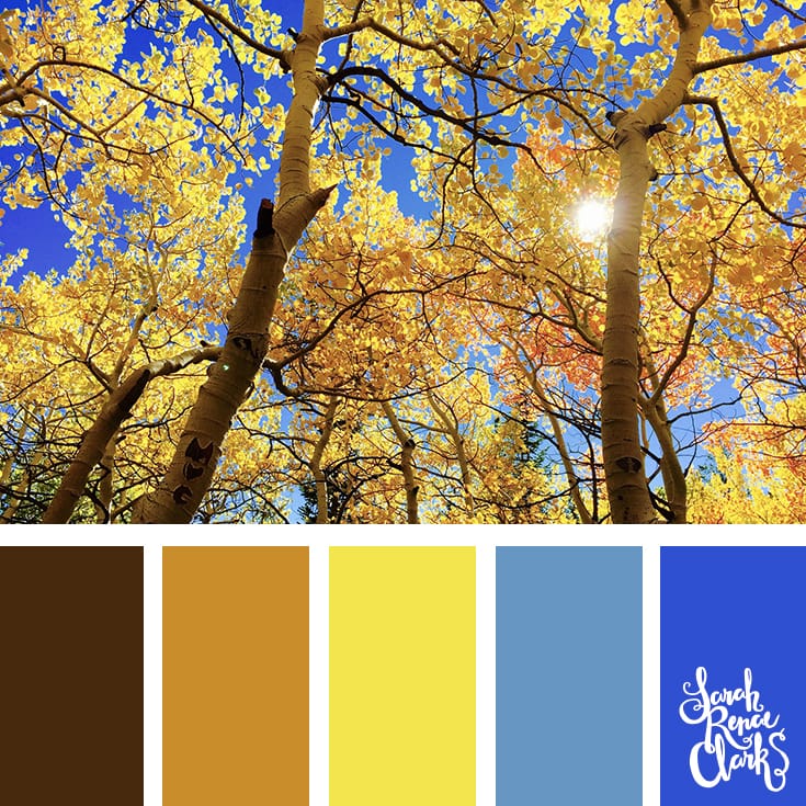 Beautiful Autumn color scheme | Click for more fall color combinations, mood boards and seasonal color palettes at http://sarahrenaeclark.com
