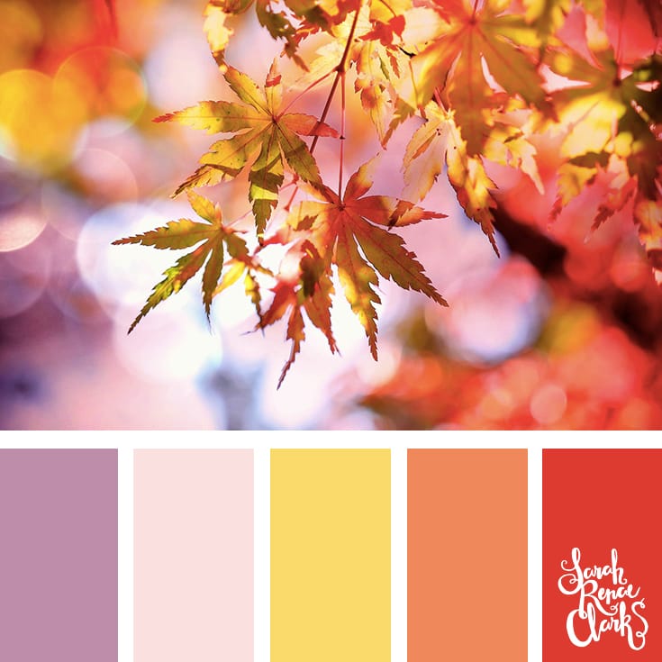 Sweet Autumn colors | Click for more fall color combinations, mood boards and seasonal color palettes at http://sarahrenaeclark.com