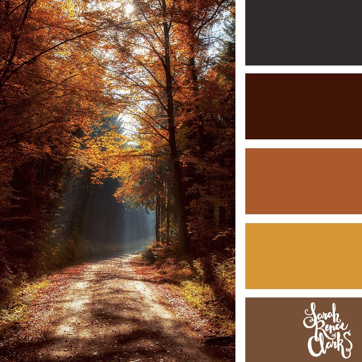 Beautiful Autumn color scheme | Click for more fall color combinations, mood boards and seasonal color palettes at http://sarahrenaeclark.com