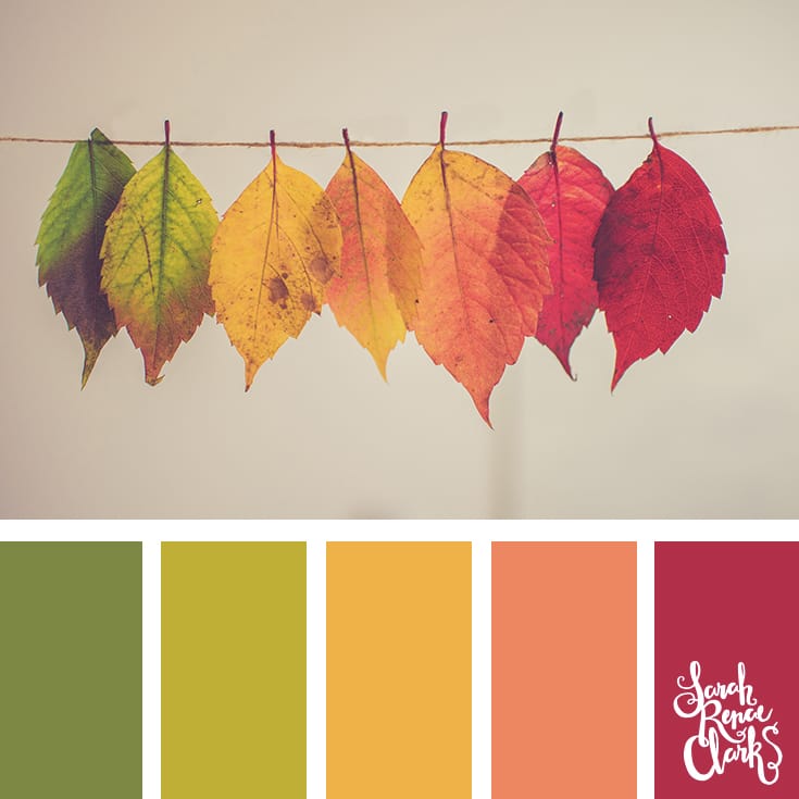 Delicate Autumn leaves | Click for more fall color combinations, mood boards and seasonal color palettes at http://sarahrenaeclark.com