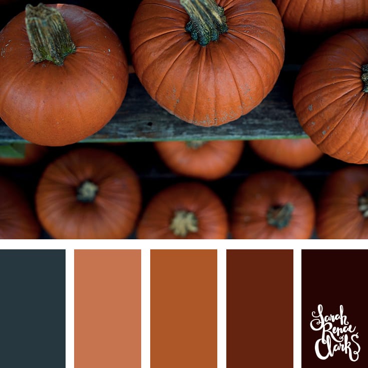 Autumn pumpkins color palette | Click for more fall color combinations, mood boards and seasonal color palettes at http://sarahrenaeclark.com