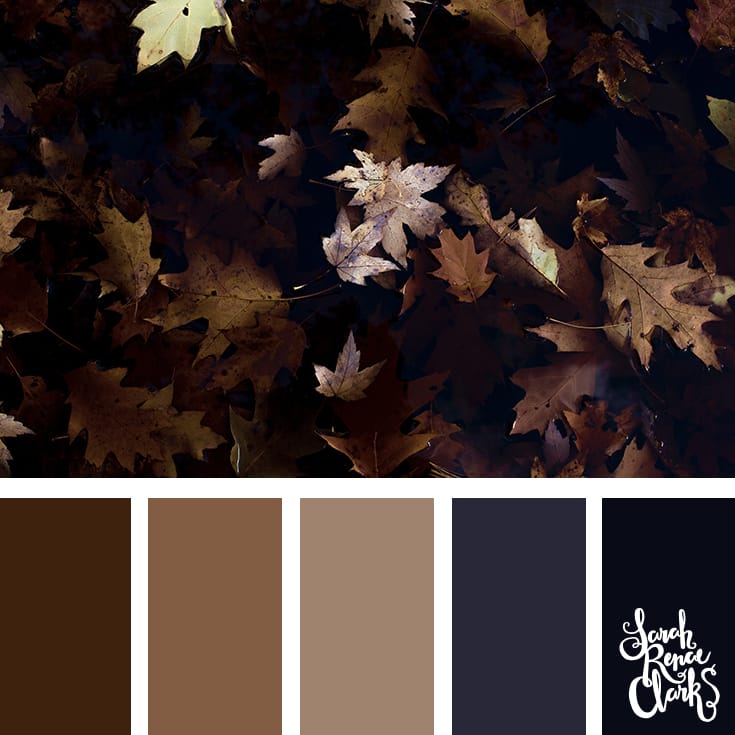 Dark Autumn color scheme | Click for more fall color combinations, mood boards and seasonal color palettes at http://sarahrenaeclark.com