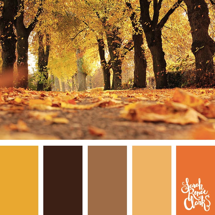 Warm Autumn hues | Click for more fall color combinations, mood boards and seasonal color palettes at http://sarahrenaeclark.com