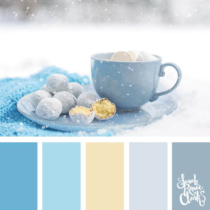 Color Palette 151 - A pastel toned cup and saucer with cookies on a background of a picnic blanket and snow