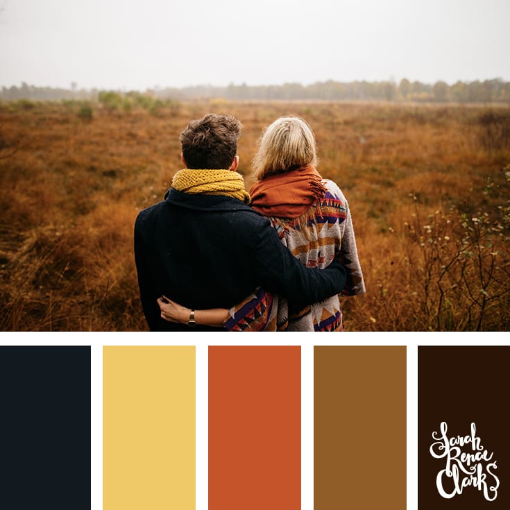 Field colors // Winter Color Schemes // Click for more winter color combinations, mood boards and seasonal color palettes at http://sarahrenaeclark.com #color #colorscheme #colorinspiration