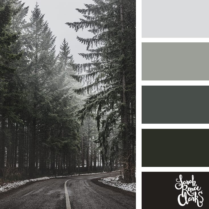 Forest hues // Winter Color Schemes // Click for more winter color combinations, mood boards and seasonal color palettes at http://sarahrenaeclark.com #color #colorscheme #colorinspiration