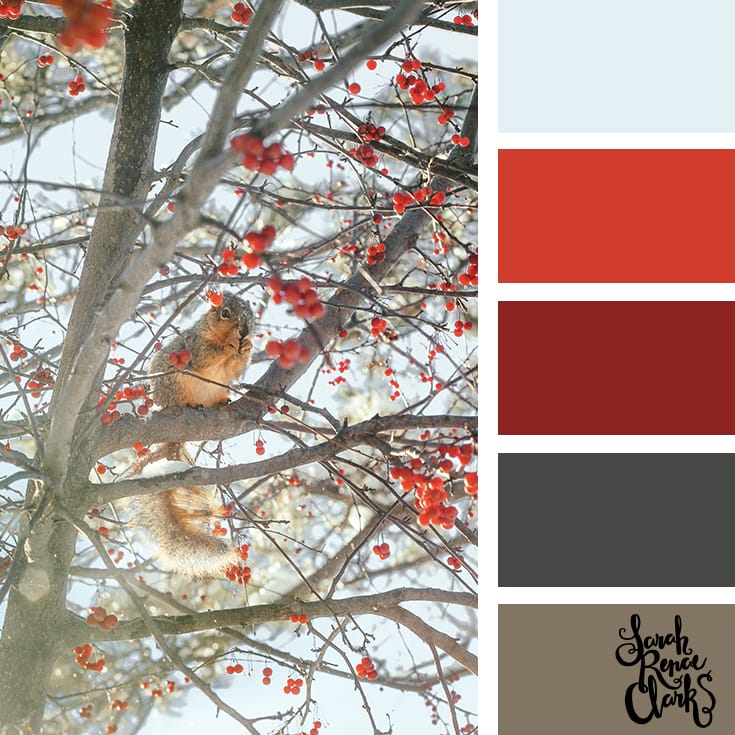 Red color scheme // Winter Color Schemes // Click for more winter color combinations, mood boards and seasonal color palettes at http://sarahrenaeclark.com #color #colorscheme #colorinspiration