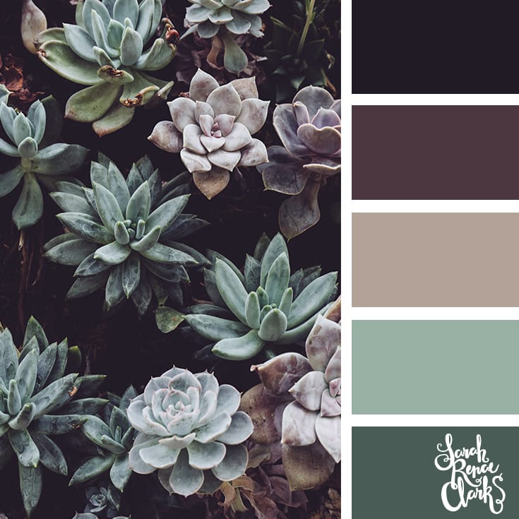 Succulent colors // Winter Color Schemes // Click for more winter color combinations, mood boards and seasonal color palettes at http://sarahrenaeclark.com #color #colorscheme #colorinspiration