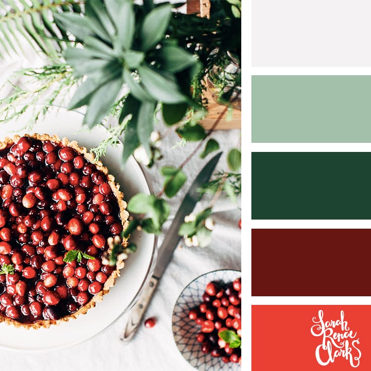 Berries red color scheme // Christmas Color Schemes // Click for more Christmas color palettes, mood boards and color combinations at https://sarahrenaeclark.com #color #colorscheme #colorpalette