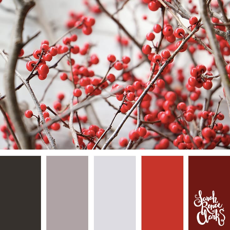 Berry red color inspiration // Christmas Color Schemes // Click for more Christmas color palettes, mood boards and color combinations at https://sarahrenaeclark.com #color #colorscheme #colorpalette