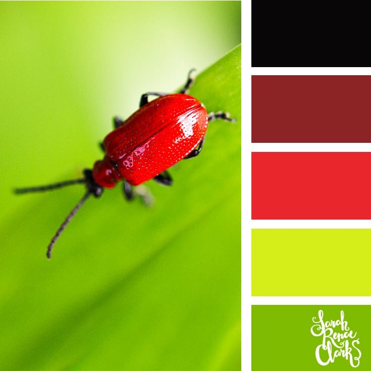 A Green Spring Color Palette  Spring color palette, Nature color palette,  Green colour palette