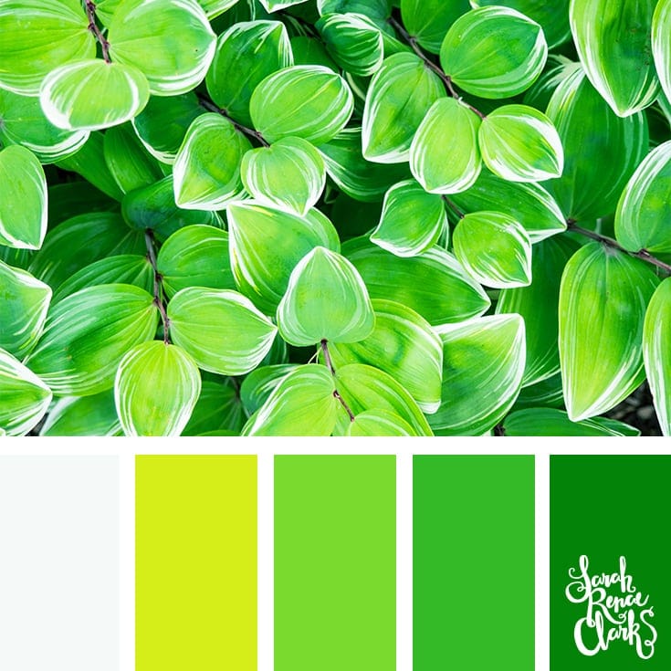 Greenery | 25 color palettes inspired by the PANTONE color trend predictions for Spring 2018 - Use these color schemes as inspiration for your next colorful project! Find more color palettes, mood boards and schemes at www.sarahrenaeclark.com #color #colorpalette