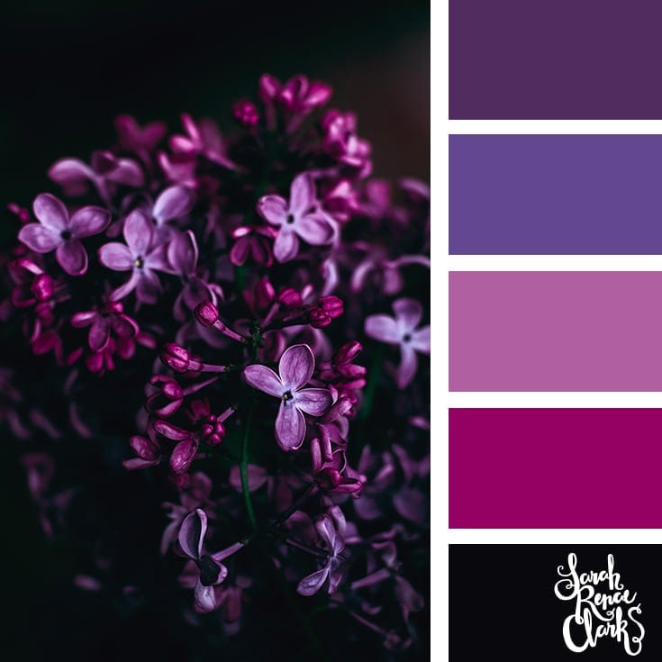 Purple color scheme | 25 color palettes inspired by the PANTONE color trend predictions for Spring 2018 - Use these color schemes as inspiration for your next colorful project! Check out more color schemes at www.sarahrenaeclark.com #color #colorpalette