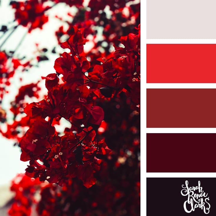 Red color palette | 25 color palettes inspired by the PANTONE color trend predictions for Spring 2018 - Use these color schemes as inspiration for your next colorful project! Check out more color schemes at www.sarahrenaeclark.com #color #colorpalette