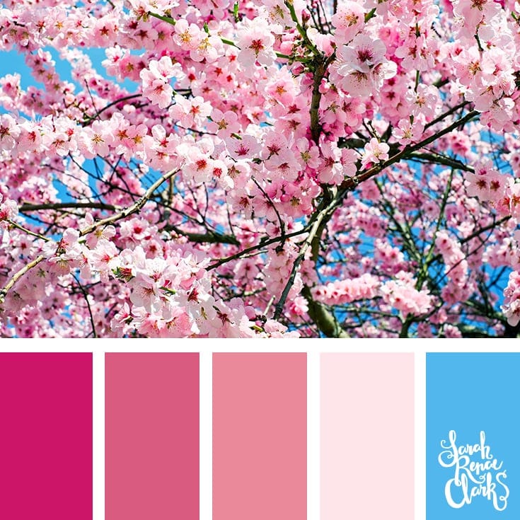 Spring inspiration | 25 color palettes inspired by the PANTONE color trend predictions for Spring 2018 - Use these color schemes as inspiration for your next colorful project! Check out more color schemes at www.sarahrenaeclark.com #color #colorpalette