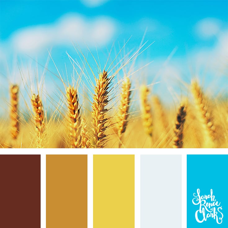 Field color palette