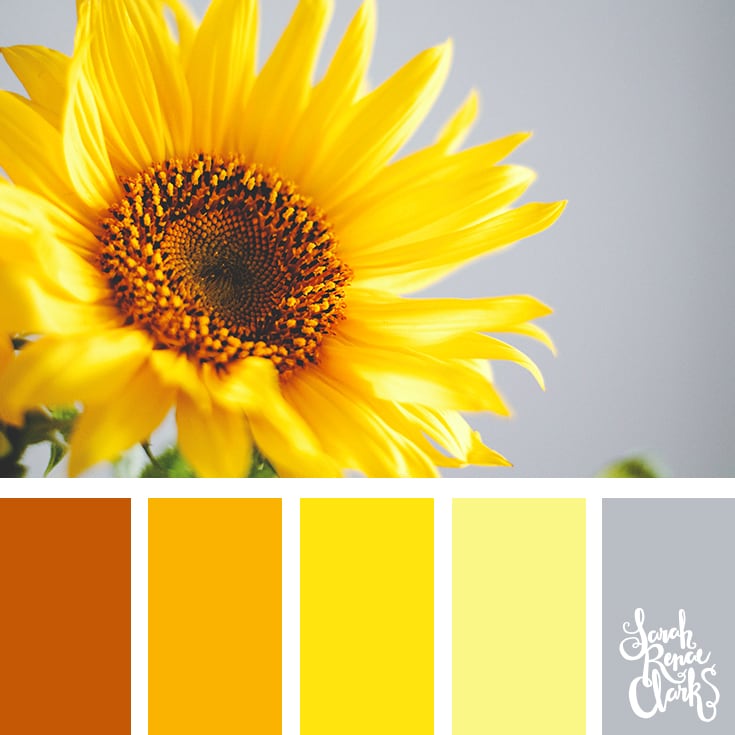 Sunflower yellow color scheme Sarah Renae Clark Coloring Book Artist and Designer